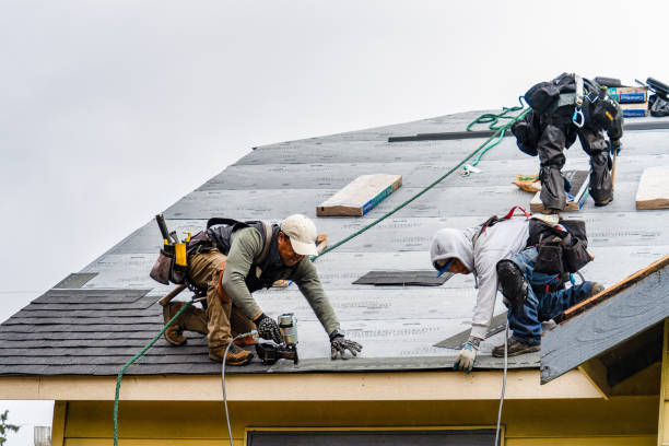 Professional Gutter Installation technician working in Shannon, GA